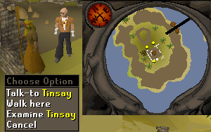 Content Image