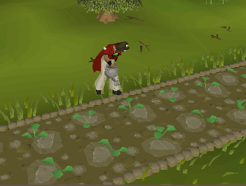 Content Image