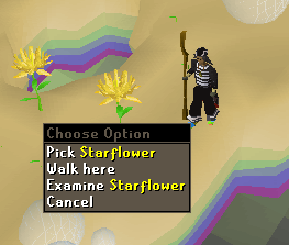 Content Image