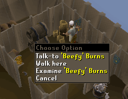 Content Image
