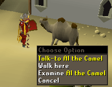 Content Image
