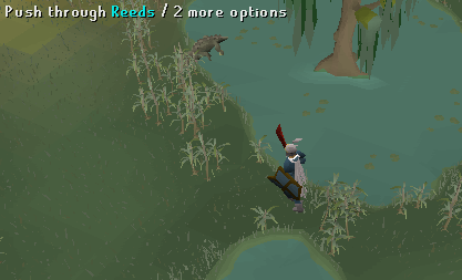 Content Image