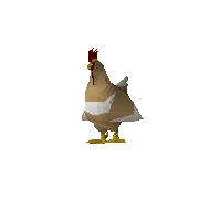 Content Image