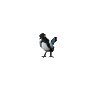 Content Image