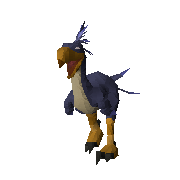 Content Image