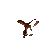 Content Image