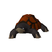 Content Image